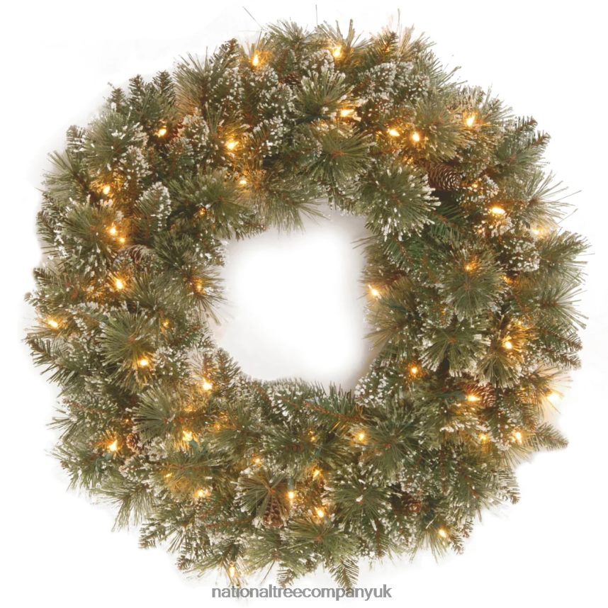 Greenery | National Tree Company Pre-Lit Artificial Christmas Wreath Glittery Bristle Pine with Twinkly LED Lights Plug in 30 in F2L4F280